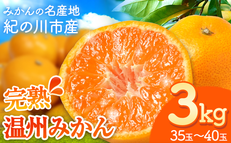 【先行予約】完熟 温州 みかん 約3kg (35~40玉) こだまファーム《10月上旬-2月中旬頃出荷》 和歌山県 紀の川市 みかん ミカン 果物 フルーツ