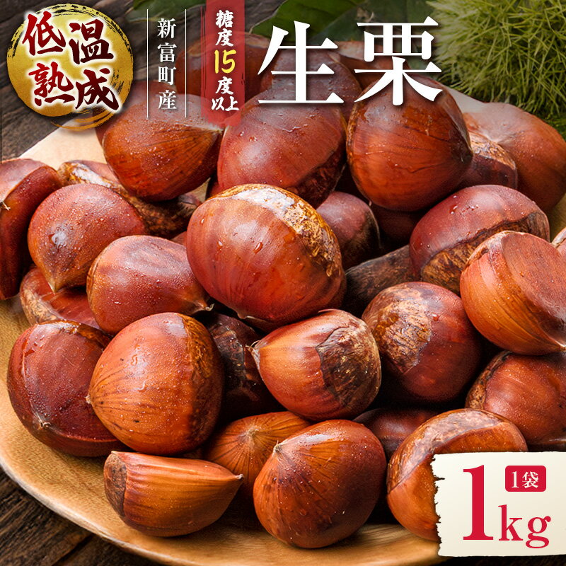 【ふるさと納税】＜期間限定＞国産 低温熟成栗（生栗）1kg 糖度15度以上 熟成宝珠栗 産地直送 宮崎県新富町産