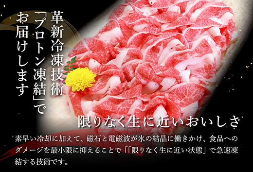 近江牛A5ランク切落し【500g】【訳あり】【DG12SM】