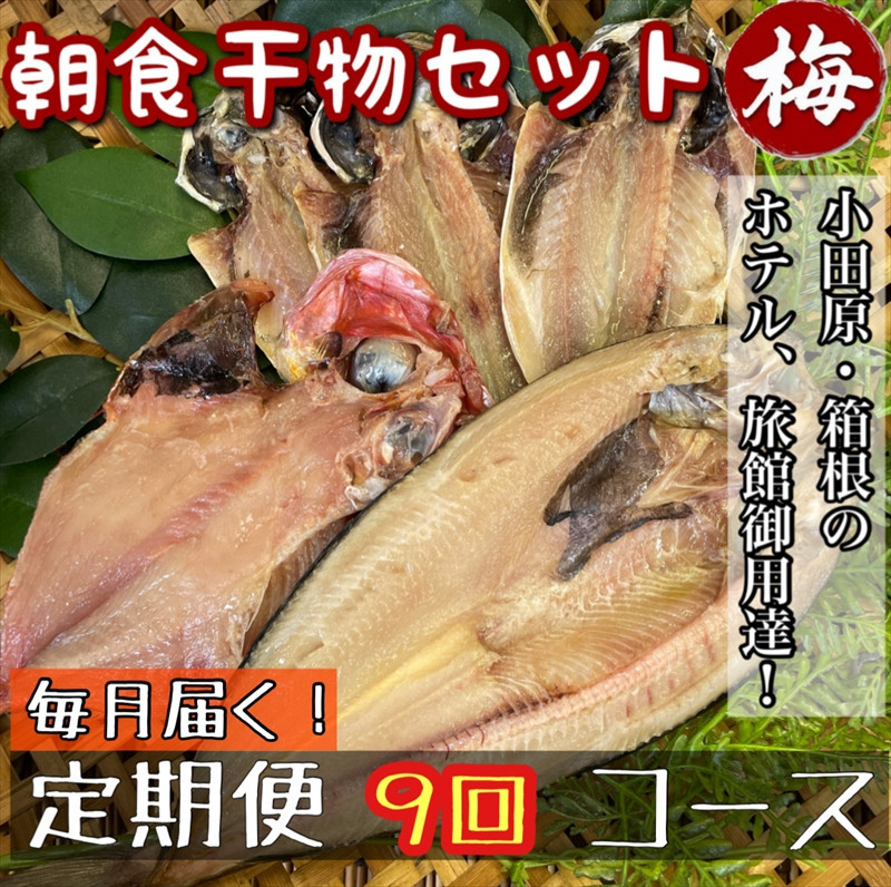 【毎月定期便9回】小田原、箱根の旅館、ホテル御用達！朝食干物セット 梅【 まぐろや 神奈川県小田原市 】 142069_DQ216