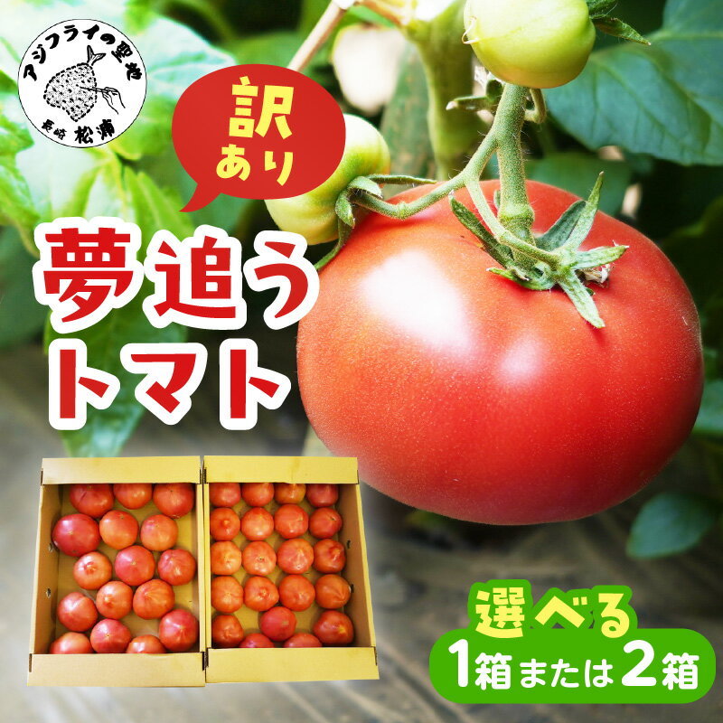 【ふるさと納税】訳あり！ご家庭用に大活躍 夢追うトマト 2.5kg～3kg 5kg～6kg 1箱 2箱 トマト とまと ジューシー リコピン 期間限定 松浦市 松浦産 大玉トマト 訳ありトマト ふるさと納税 野菜 ふるさと納税 トマト