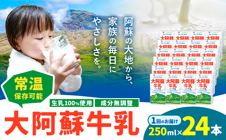 牛乳 常温保存可能 成分無調整 生乳100％使用 大阿蘇牛乳 紙パック 250ml×24本 合同会社たべたせいか《30日以内に出荷予定(土日祝除く)》熊本県 産山村 牛乳 乳飲料 乳性飲料 ドリンク 