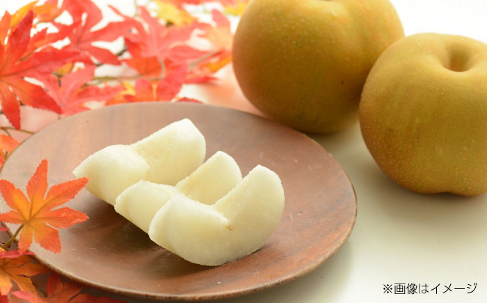 【先行予約】 川渕果樹園 秋月梨 約2kg 家庭用 〈2025年10月～発送〉 / 梨 なし ナシ 果物 フルーツ デザート 秋 甘い ジューシー 【株式会社Dorago】 [ATAM058]