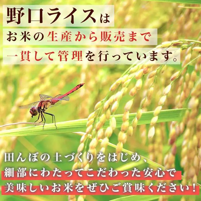 221-2【令和7年産】茨城町産 無洗米 ミルキークイーン 10kg(2kg×5袋)【野口ライス】