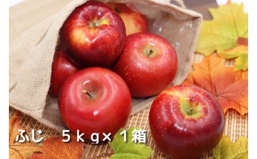 【数量限定】ふじ　５ｋｇ×１箱