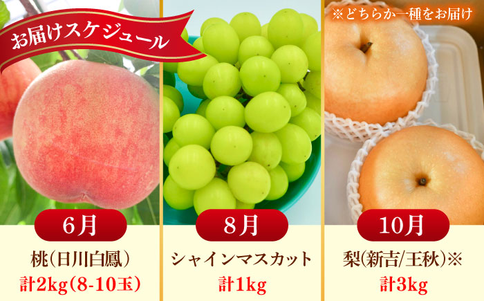 【全3回定期便】佐賀県の生産者を応援！桃とシャインマスカットと梨を楽しむ定期便 / 梨 シャインマスカット 桃 フルーツ / 佐賀県ふるさと納税 [41AAZZ021]