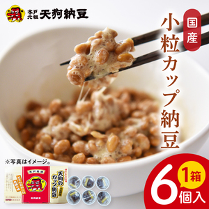 【天狗納豆】国産小粒カップ納豆（50ｇ×6個）×1箱（DQ-15）