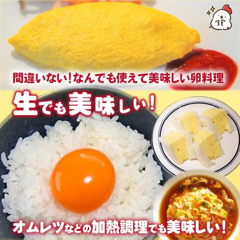 琵琶湖の卵　Ｃ12卵　6個入り5パックギフト((25個 ＋ 卵割れ補償 5個)) [B-01601] | 卵