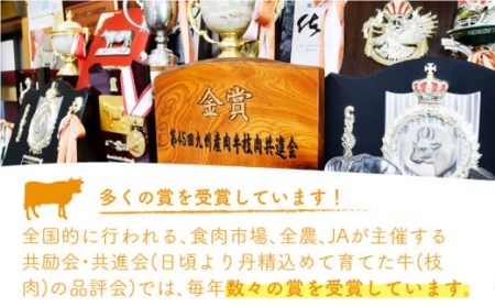 【12回定期便】 佐賀牛 モモ ウデ スライス 500g 【桑原畜産】[NAB043] 佐賀牛 牛肉 肉 佐賀 牛肉 黒毛和牛 佐賀牛 牛肉 A4 佐賀牛 牛肉a4 ブランド牛 牛肉 ブランド牛肉 佐