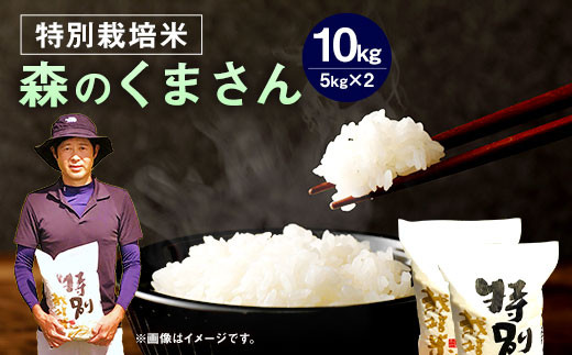 【令和6年産】 相良村産 特別栽培米 森のくまさん 10kg 【2024年10月下旬～2025年10月下旬発送予定】 お米 白米 精米