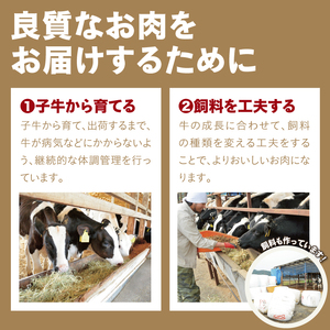 【1513】鳥取牛サンカクバラ焼肉用 600g(冷凍)