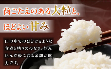 令和4年産　岐阜ハツシモ　10㎏　名水100選に選ばれた長良川中流の水で育った「清流長良川米」