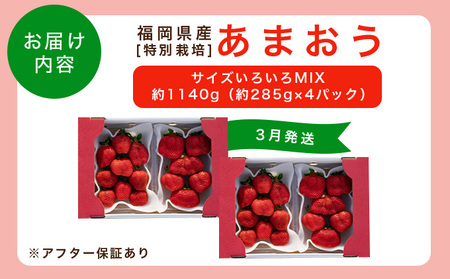 福岡県産 特別栽培 あまおう サイズいろいろMIX 約1140g（約285g×4パック）【3月発送】　農園直送 アフター保証 先行予約 福岡産 送料無料 ケーキ ギフト お祝い 限定 季節限定 UN0