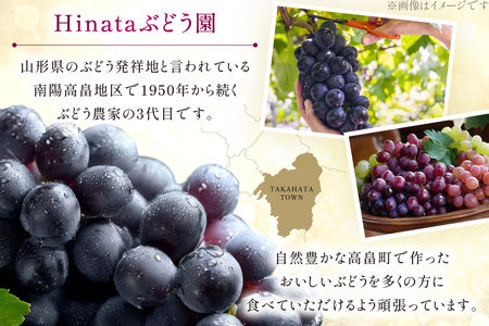 【期間限定発送】 ぶどう 大粒ぶどう 藤稔 2房 約 1.3kg [Ｈinataぶどう園 山形県 高畠町 tk06ayt190002] ぶどう ブドウ 葡萄 ふじみのり 大粒 種なし くだもの 果物 