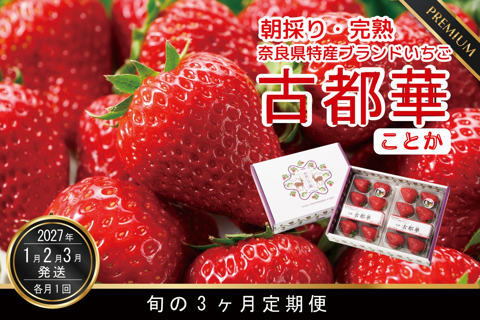 定期便 先行予約 数量限定 古都華 【1・2・3月発送3ヶ月定期便】奈良県特産 高級ブランドいちご「古都華」旬の３ヶ月定期便 // いちご イチゴ 古都華 フルーツ 果物 旬 限定  ブランド 定期便  朝採り 完熟 いちご ことか イチゴ 先行予約 贈答用 ギフト 化粧箱 大粒