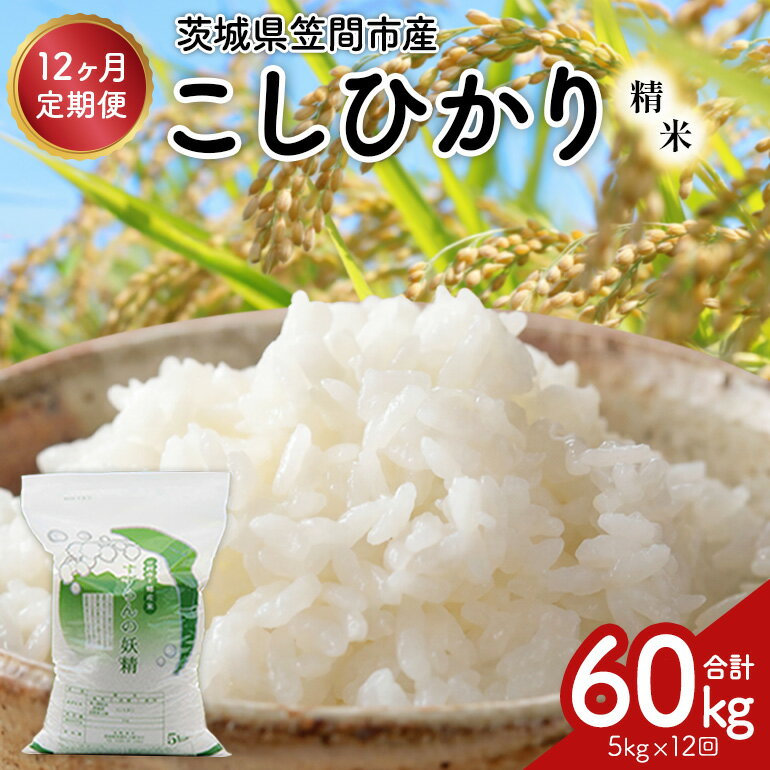 【ふるさと納税】 【12ヶ月定期便】令和7年度 殺虫剤・殺菌剤不使用｜こしひかり（5kg） 合計60kg 定期便 コシヒカリ 米 こしひかり 精米 ブランド米 お米 白米 5kg 国産 贈答 ギフト おにぎり 弁当 R7年産 ごはん おいしい 旨い ふっくら お米 茨城県 笠間市 いばらき