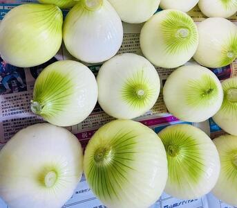 【先行予約】岡山市産 玉ねぎ3kg(サイズ混合)栽培期間中農薬・除草剤不使用全て自然の力健康野菜