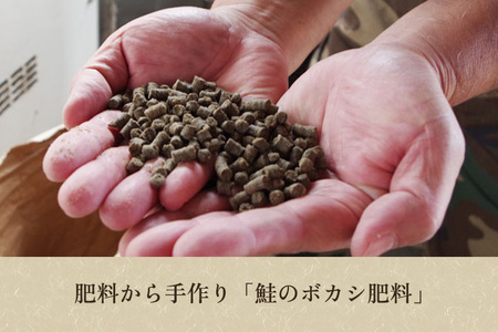 【令和7年産】[発芽玄米] 新潟産 発芽玄米2.4kg（600g×4個）《9月下旬〜順次出荷》