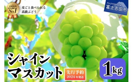 【2024年先行予約】山梨県産 シャインマスカット 約1kg(2房) シャインマスカット 山梨 シャイン ぶどう 先行予約 産地直送 山梨県産  シャイン フルーツ 果物 ぶどう 数量限定  シャイン