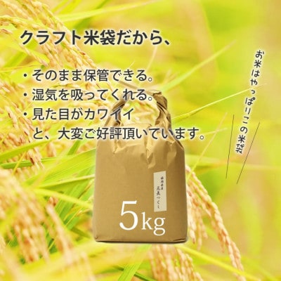 福岡県産「元気つくし」5kg×1袋 [5kg] [玄米]