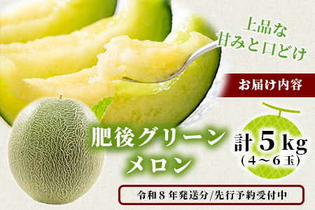 【2027年4月中旬～発送 先行予約】肥後グリーンメロン 2～4玉(合計約4kg) メロン フルーツ 果物 108-0502