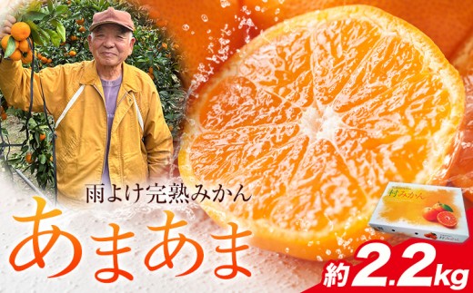 雨よけ完熟みかん「あまあま」選べる内容量 約2.2kg 正木久之《12月下旬-1月中旬》徳島県 佐那河内村 みかん ミカン 蜜柑 柑橘 箱入り 化粧箱 フルーツ 果物 くだもの 贈答【配送不可地域あり】※離島不可