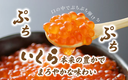 【数量限定】＜いくら醤油漬　５パック（500ｇ×５）２.５ｋｇ＞鮮度にこだわる「笹谷商店」の絶品の醤油タレで漬けたいくら（検索：いくら イクラ 鮭いくら 鮭イクラ 醤油いくら 醤油イクラ いくら醤油漬