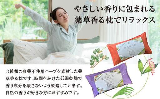 薬草香る枕2個＆沖縄ハーブボール   