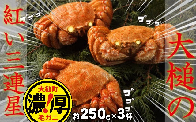 
            【令和8年発送先行予約】三陸産！活毛ガニセット 250g×3杯【2026年2月～4月発送】【08】
          