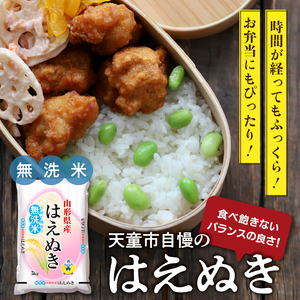 【2026年1月下旬発送】令和7年産 はえぬき 無洗米 5kg 米 山形 天童 07-01-192-01C