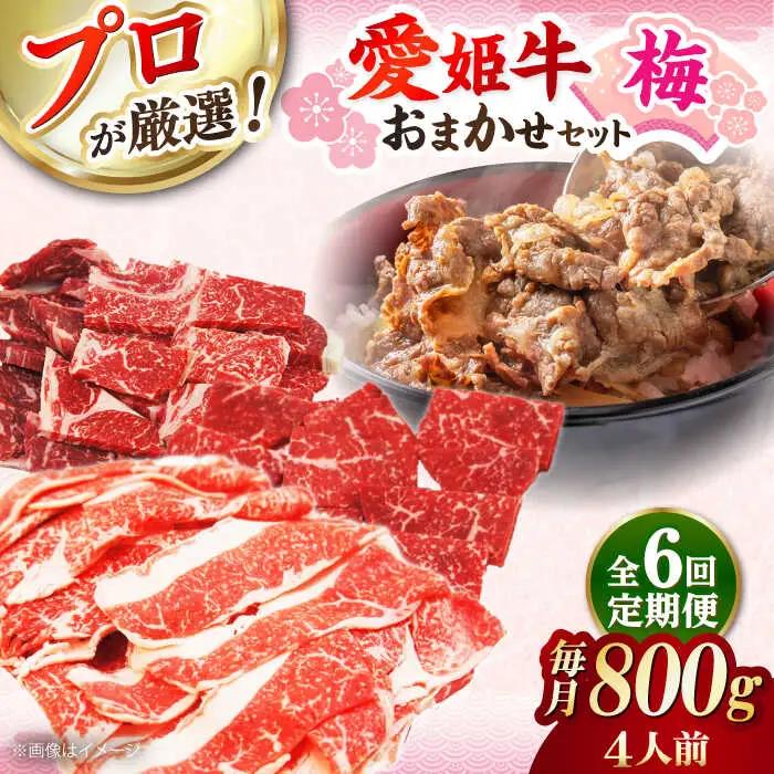 【全6回 定期便 】「愛姫牛」店主におまかせ旬セット【梅】800g（4人前） 小間切れ 角切り 赤身 牛肉 冷凍 冷凍肉 お肉[AGCC058] 