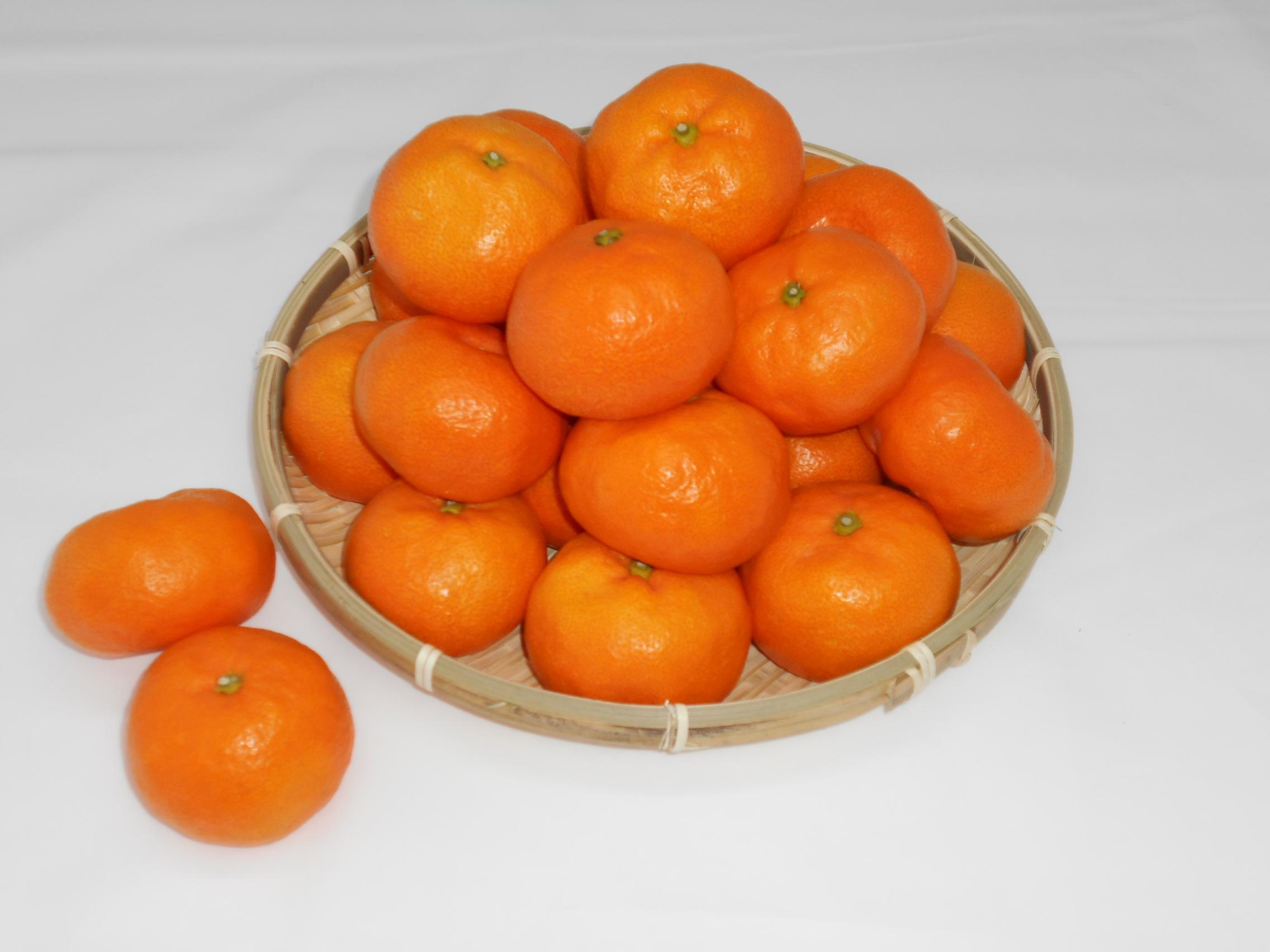 紀州完熟みかん 5kg（M又はL） 304018_AV32