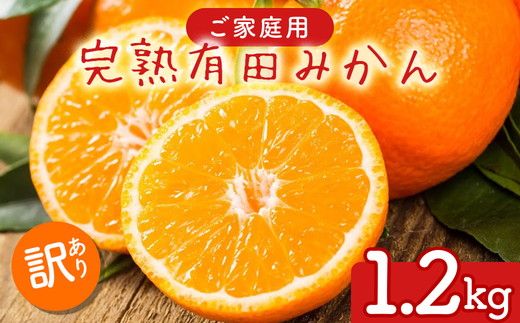 【先行予約】【数量限定】濃厚有田みかん(ご家庭用) 1.2kg(1kg+200g(傷み補償分)) ※2025年10月上旬～2026年1月下旬頃に順次発送予定 ※北海道・沖縄・離島への配送不可