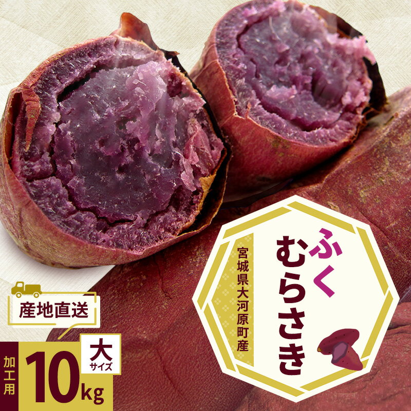 【ふるさと納税】さつまいも 約10kg ふくむらさき 加工用 大きいサイズ サツマイモ 宮城県産 甘い 秋 冬 スイーツ いも 産地直送 宮城県 大河原町　お届け：2026年11月1日～2027年2月28日