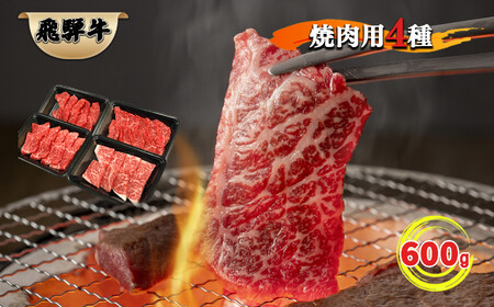 【定期便3回】北方町飛騨牛祭り ステーキ編
