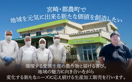 【2週間以内発送】≪訳あり≫宮崎県産牛ミンチ肉 計1.2kg(300g×4パック) 肉 牛 牛肉 国産_T025-042