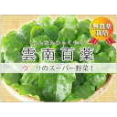 【ふるさと納税】【琉球マルシェ】雲南百薬 1kg　葉の厚さが違う！宮古島のミネラル土壌で育ちました | 雲南百薬 ミネラル 無農薬 野菜 人気 おすすめ ご当地 お取り寄せ 沖縄 宮古島