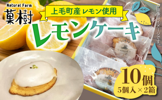 【ナチュラルファーム菓樹】レモンケーキ 10個（5個入×2箱）～上毛町産レモン使用～  NK1106