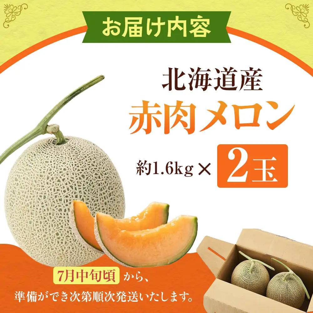高評価【先行予約】北海道産赤肉メロン1.6kg×2玉 (2026年7月中旬から発送開始) | メロン_02061