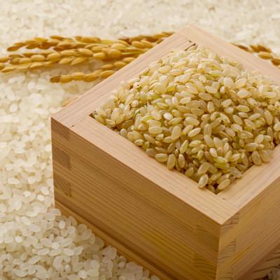 ふるさと納税 山辺町 2025年産 令和7年産 山形県産 つや姫 玄米 30kg