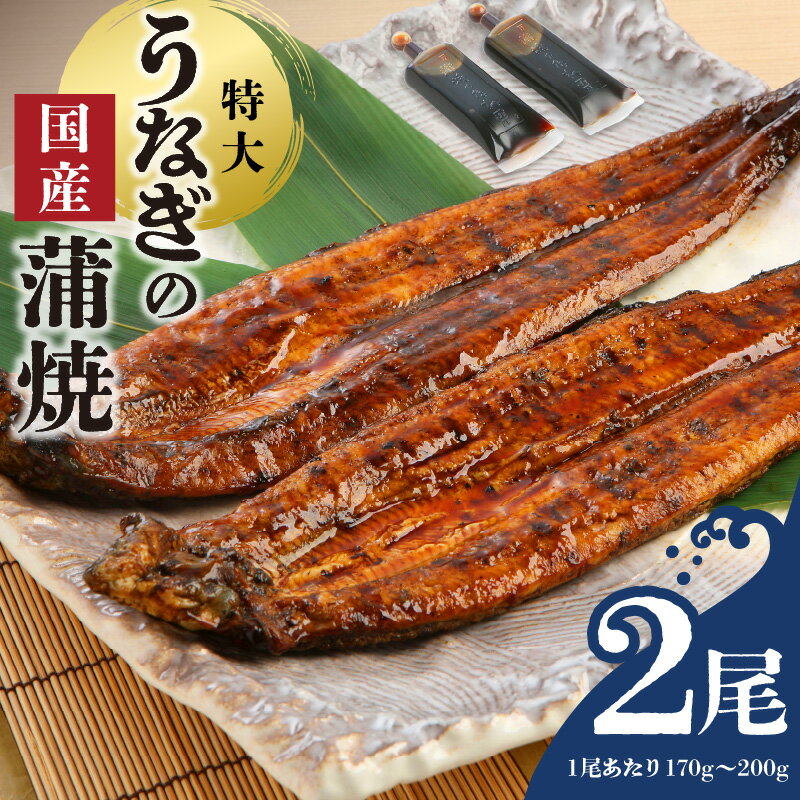 【ふるさと納税】うなぎ 蒲焼 2尾 セット 特大サイズ 一尾170g～200g たれ付き 鰻専門問屋 樋口商店 鹿児島 宮崎 国産 ジャポニカ種 真空パック ギフト お取り寄せ グルメ うな丼 うな重 ひつまぶし お土産 手土産 贈り物 プレゼント お中元 職人 送料無料
