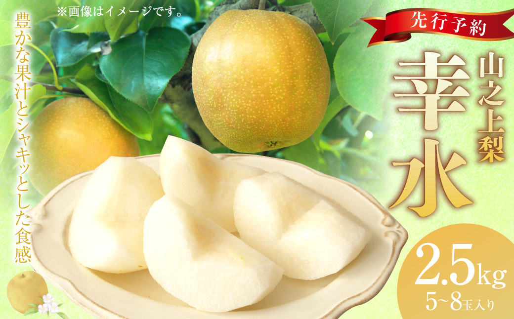 
            《先行予約》｢丸坂山田農園｣ 山之上梨 幸水 1箱 （約2.5kg／5～8玉）　【2025年8月上旬～8月下旬 発送予定】│  梨 ナシ 果物 果実 フルーツ 冷蔵 国産 岐阜県 美濃加茂市
          