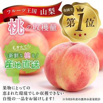 訳あり!桃 3kg前後 ご家庭 加工用に!【配送不可地域：離島・沖縄県】