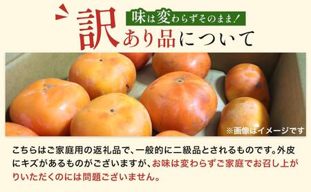 和歌山県産 訳あり 平核無柿 7.5kg L ~ 2L サイズ たねなし柿 種無し柿 ご家庭用 選果場 直送 2024年10月上旬～発送