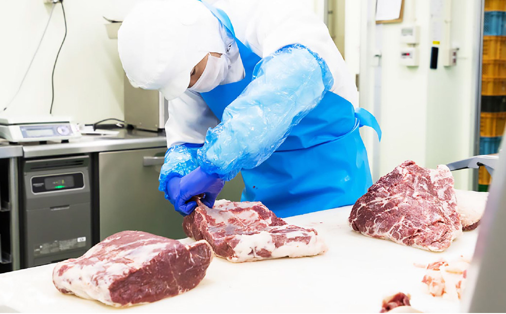 熊本の味「桜」 国産馬肉100% 馬ニラメンチカツ 約100g 計30個 馬肉 ウマ お肉 メンチカツ