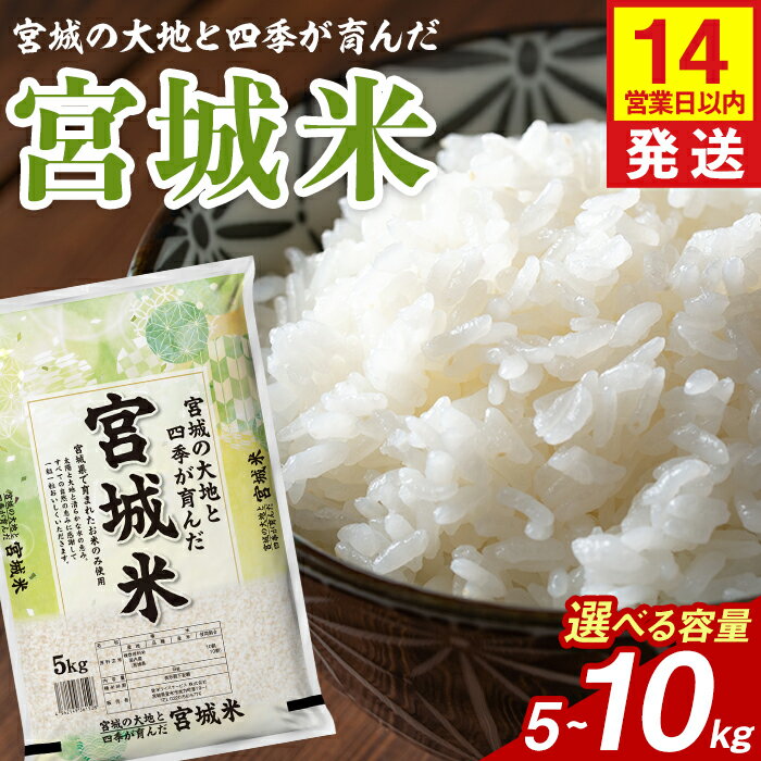 【ふるさと納税】【14営業日以内に発送予定】宮城米 5kg〜10kg 選べる容量 ブレンド米 業務用 お米 おこめ 米 コメ 白米 ご飯 ごはん おにぎり お弁当 【登米ライスサービス株式会社】tm732・tm733