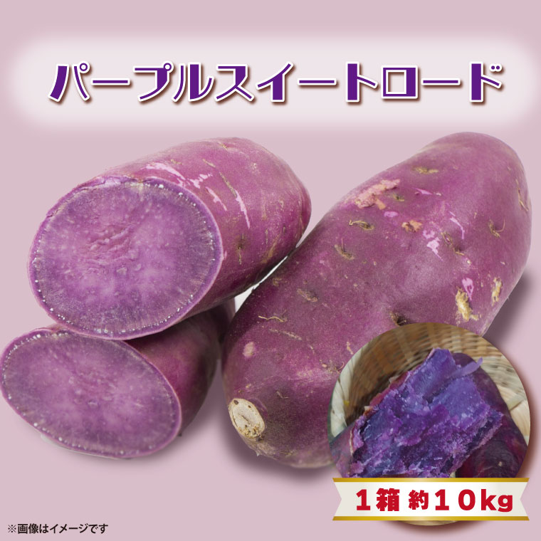 【2025年11月より順次発送】2025年度産 パープルスイートロード 約10kg｜さつまいも 芋 お芋 パープルスイートロード 渋谷農園 先行予約 茨城県 行方市(BZ-8)