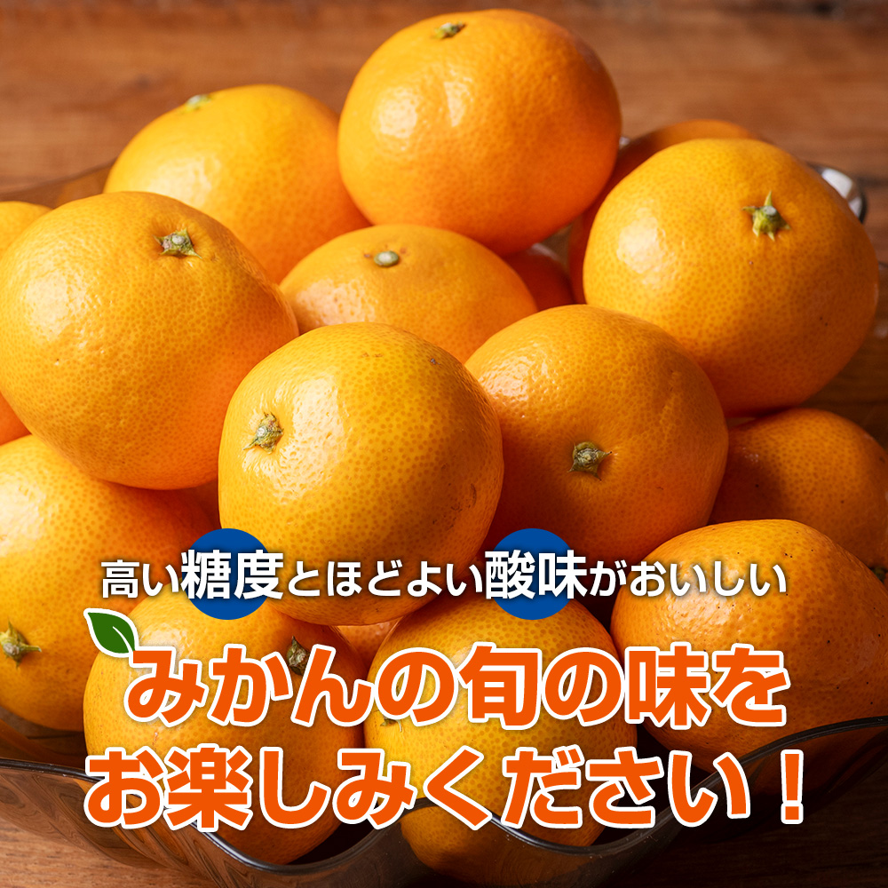 みかん 温州みかん 約5kg Sサイズ 優品 家庭用 期間限定 柑橘 蜜柑 mikan フルーツ 果物 くだもの 国産 ブランド 三重県 伊勢 志摩 南伊勢町 マルゴみかん JA伊勢