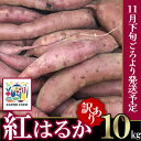 【ふるさと納税】【先行予約】【訳あり】茨城県産 さつまいも 「紅はるか」 10kg【2024年11月下旬ごろ順次発送】【さつまいも 紅あずま 甘い ねっとり サツマイモ 焼き芋 芋 大容量 茨城県産 焼き芋 スイートポテト レシピ】