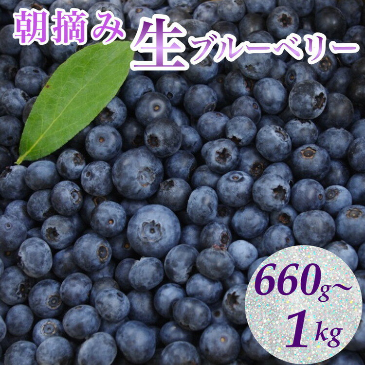 【ふるさと納税】【訳あり】＜すだ農園＞栽培期間中農薬不使用 朝摘み ブルーベリー 生果実【小粒・中粒 ふぞろい】660g～1000g ｜ 旬 果実 新鮮 フルーツ ※2025年8月上旬～9月初旬頃に順次発送予定 ※北海道・沖縄・離島への発送不可